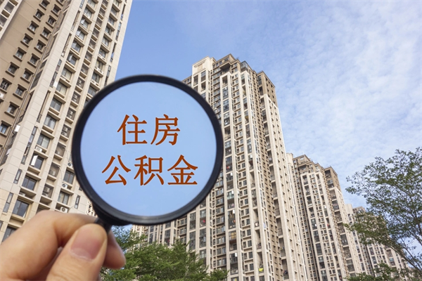 沙洋怎么把公积金全部取出来（如何将公积金全部取出）